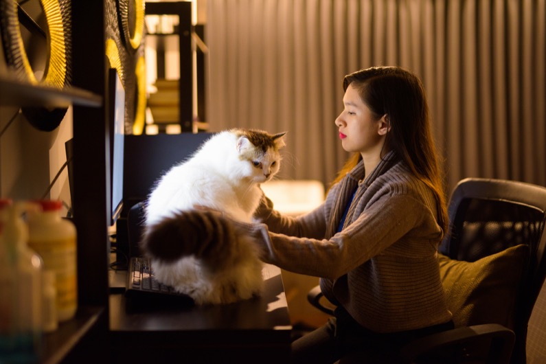 Young Asian woman holding pet cat while working from home