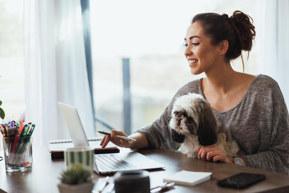 Attractive young female freelancer working on laptop from her home and having her dog in her lap
